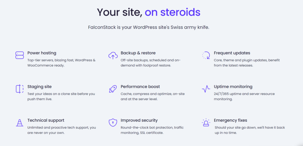 FalconStack's WordPress features
