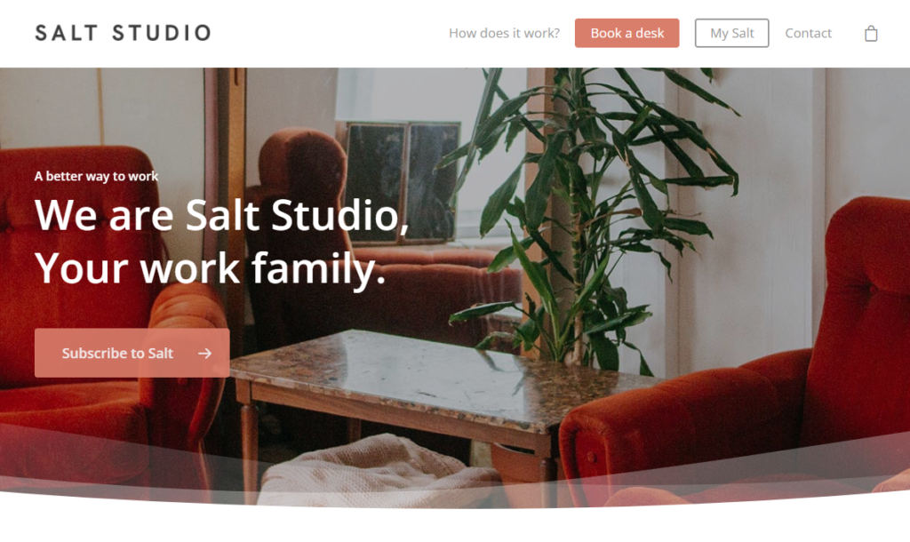 Salt Studio FalconStack WordPress